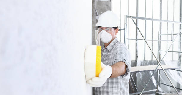 Trusted Hardinsburg, KY Mold Removal & Remediation Experts